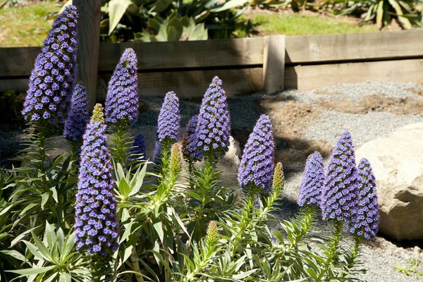 Quelles sont les meilleures pratiques pour déménager des meubles en bois massif et lourd ?