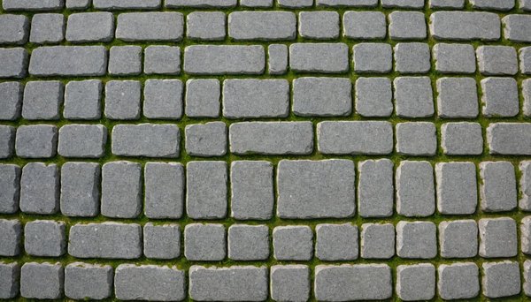 Moquette de pierre pour extérieur : le choix qui fait la différence