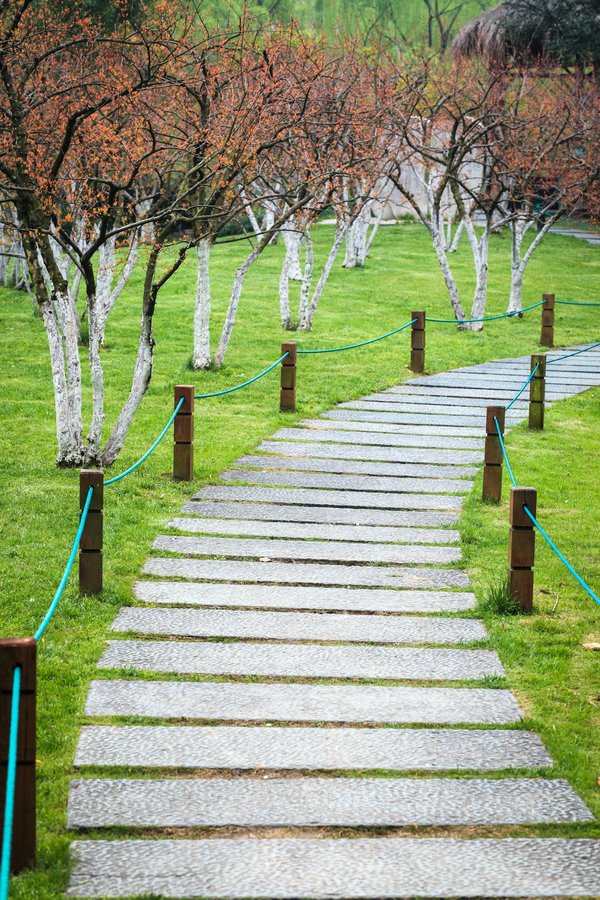 Embellissez votre jardin avec des pas japonais gris modernes