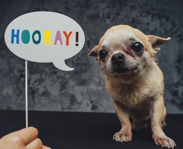 Posters et affiches humoristiques pour égayer votre intérieur